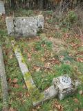 image number Thel173